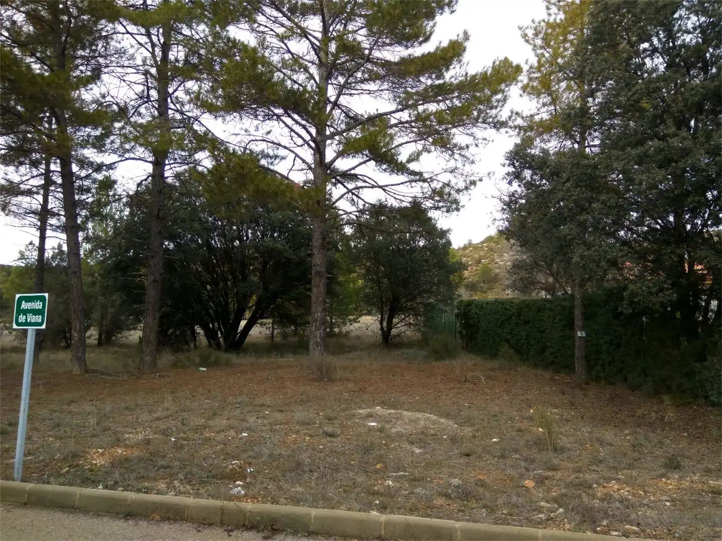 Terreno en venta en Trillo