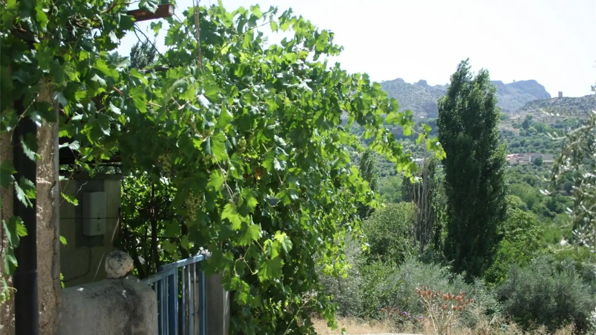Vista exterior de Finca rústica en venta en Nerpio con Terraza, Amueblado y Horno