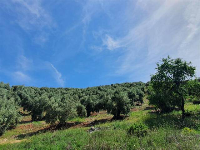 Terreno no urbanizable en Venta en Beas de Segura