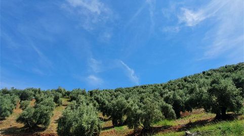 Photo 2 of Non-constructible Land for sale in Beas de Segura, Jaén