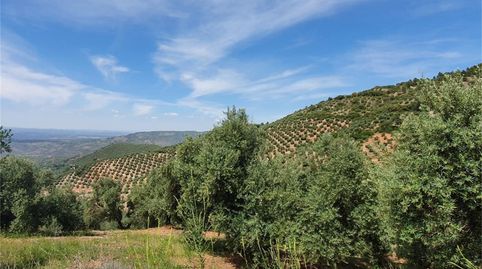 Photo 4 of Non-constructible Land for sale in Beas de Segura, Jaén