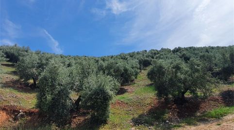 Photo 5 of Non-constructible Land for sale in Beas de Segura, Jaén