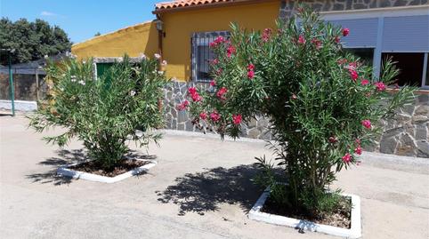 Finca rústica en venta en Calle Calatrava, Brazatortas, Ciudad Real - imagen 3 Foto 3 de Finca rústica en venta en Calle Calatrava, Brazatortas, Ciudad Real