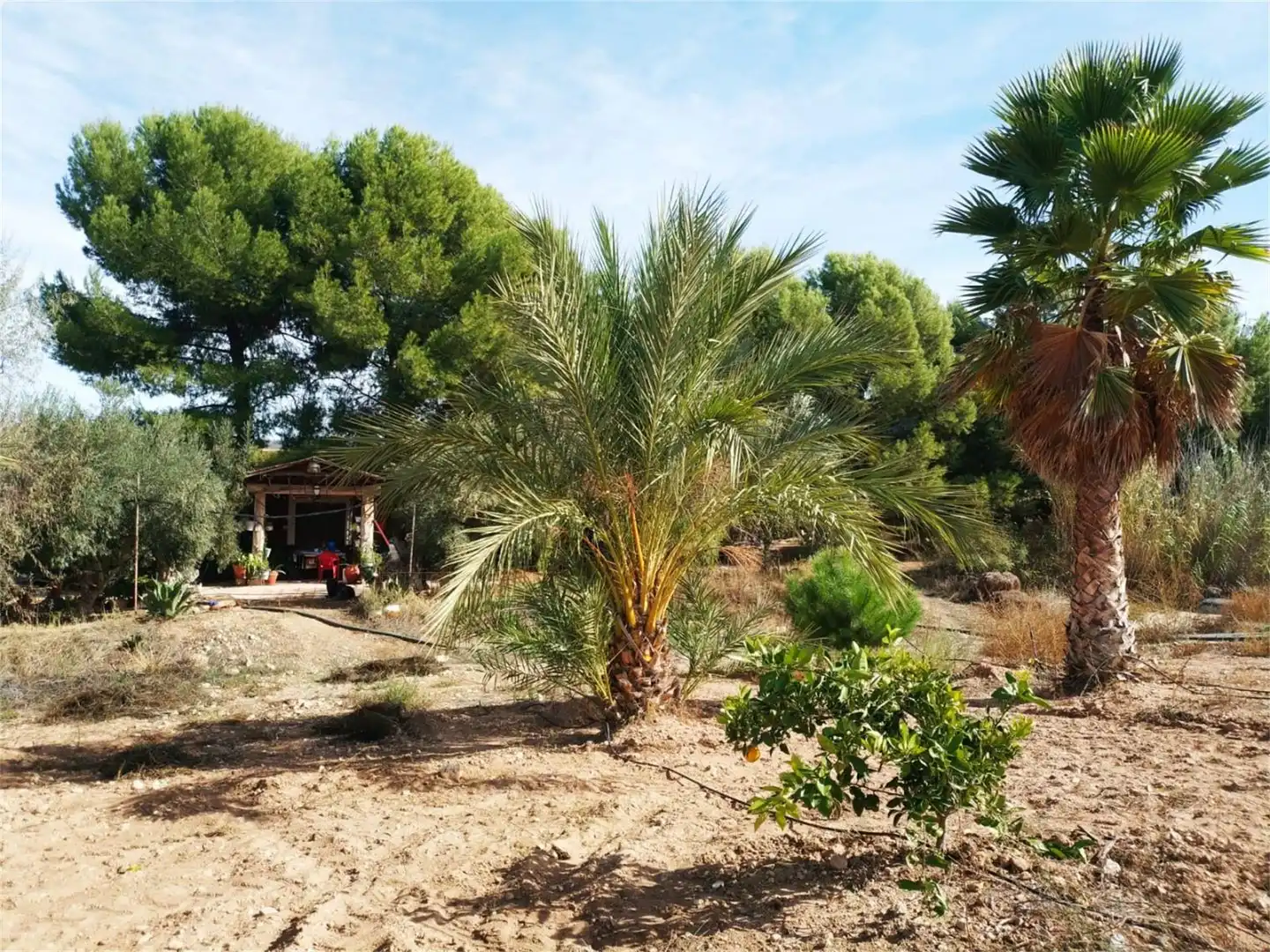 Casa o chalet en venta en Avenida de Yecla, Jumilla Casa o chalet en venta en Avenida de Yecla, Jumilla