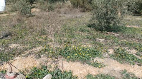 Photo 2 of Country house for sale in Calle Protección Civil, Atarfe, Granada