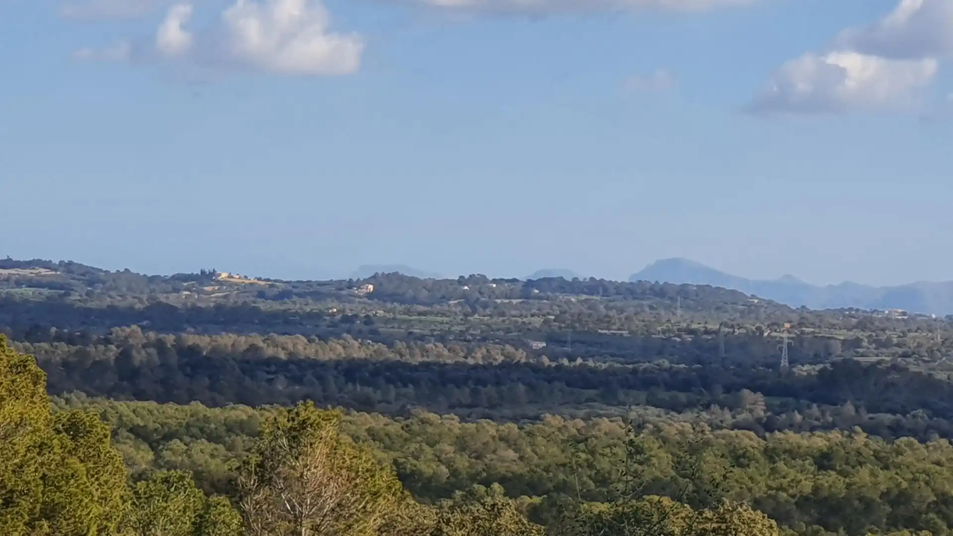 Non-constructible Land for sale in Costitx