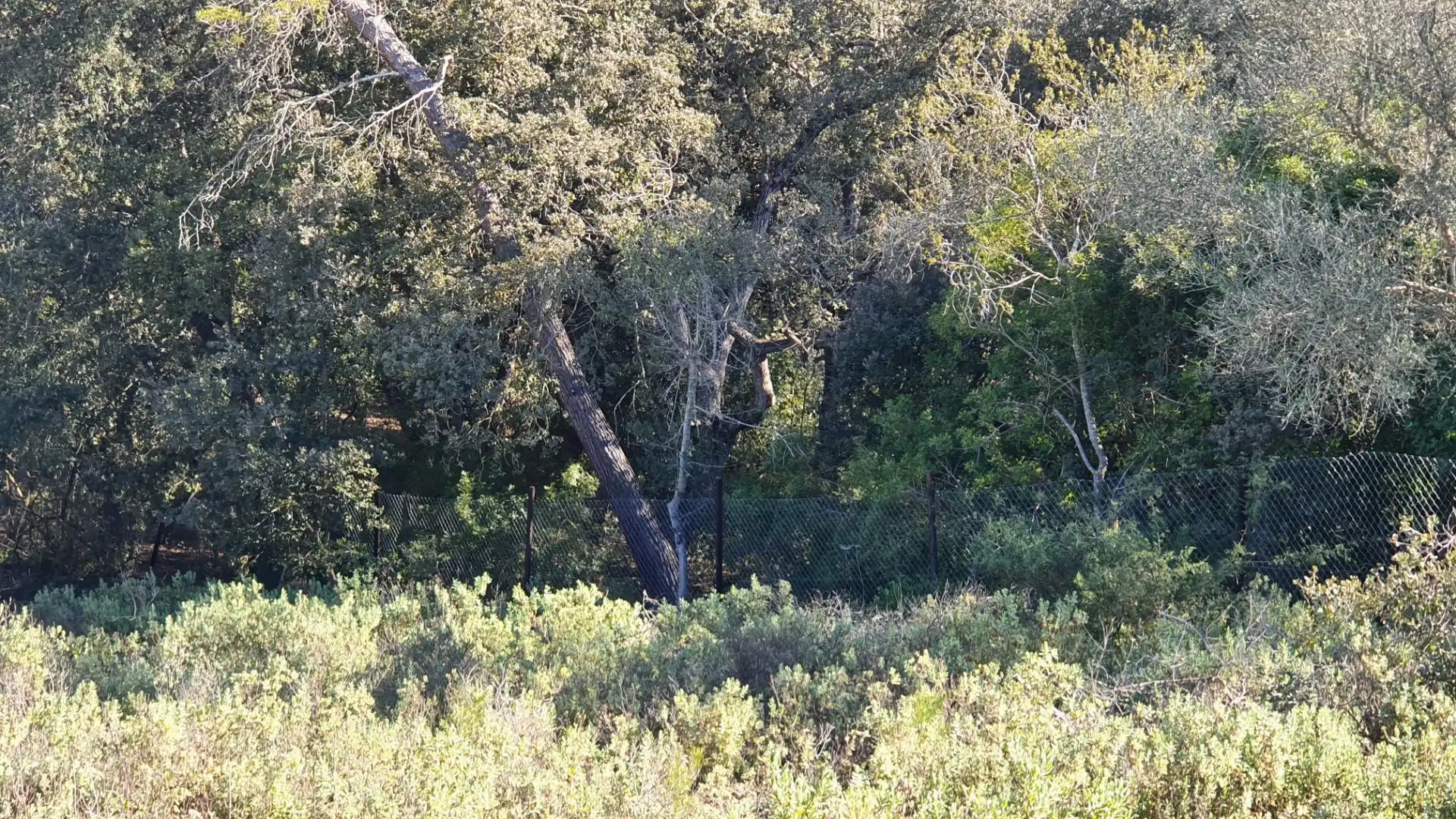 Exterior view of Non-constructible Land for sale in Costitx