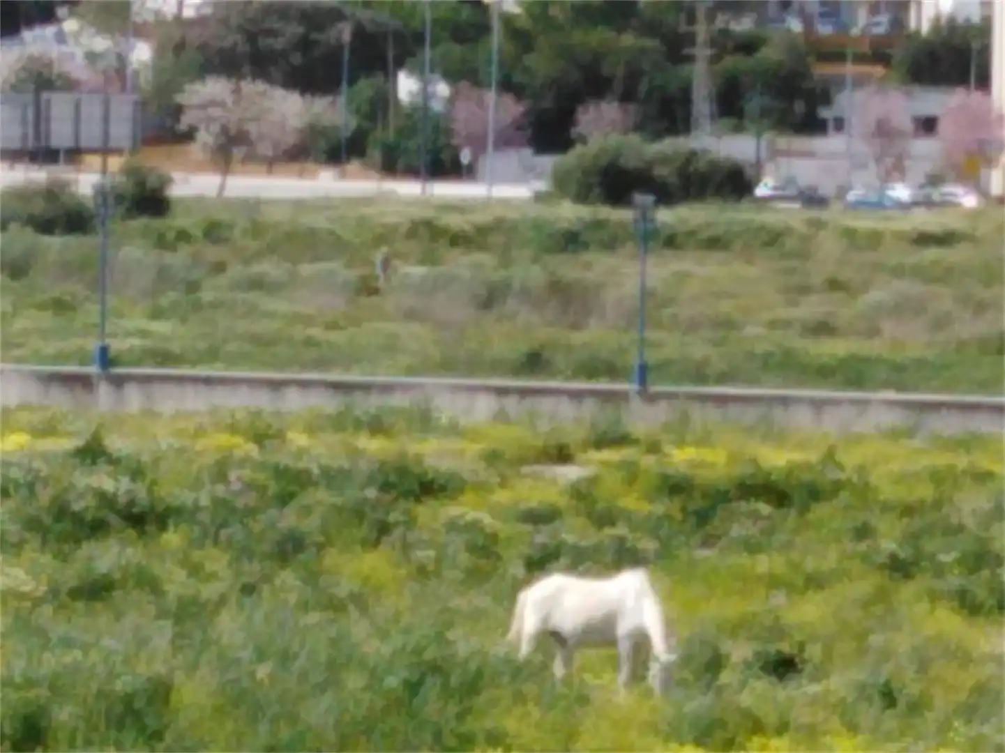 Vista exterior de Casa adosada en venda en Chiclana de la Frontera amb Terrassa, Traster i Moblat