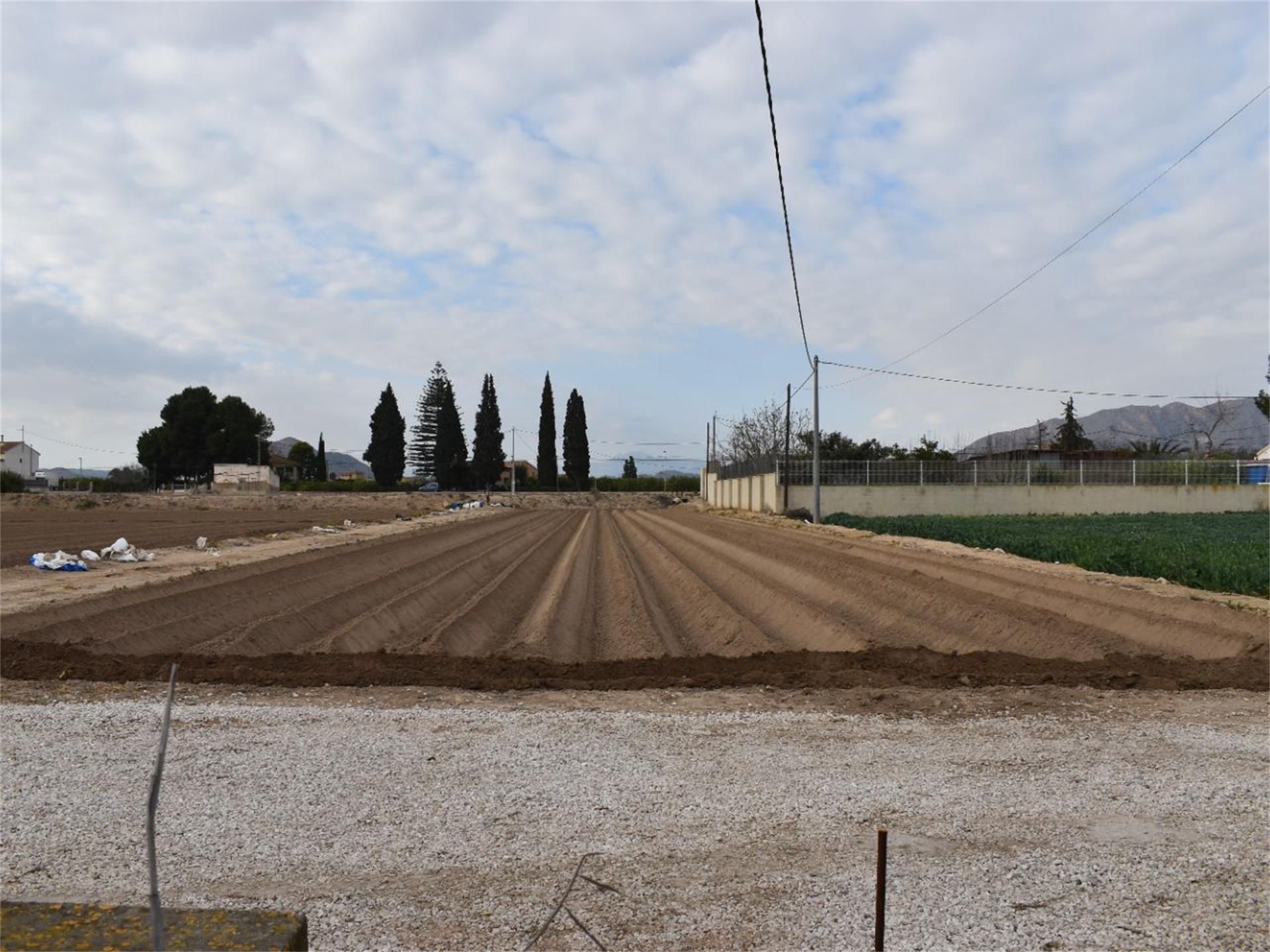 Terreno en venta en  Murcia Capital