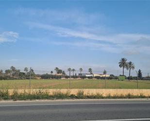 Constructible Land for sale in Elche / Elx