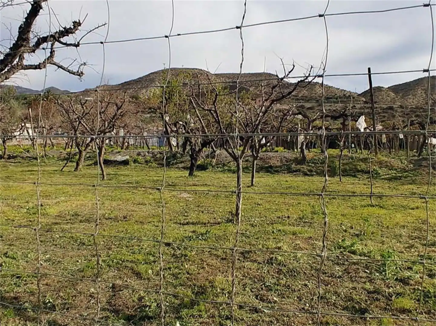 Land for sale in Alboloduy