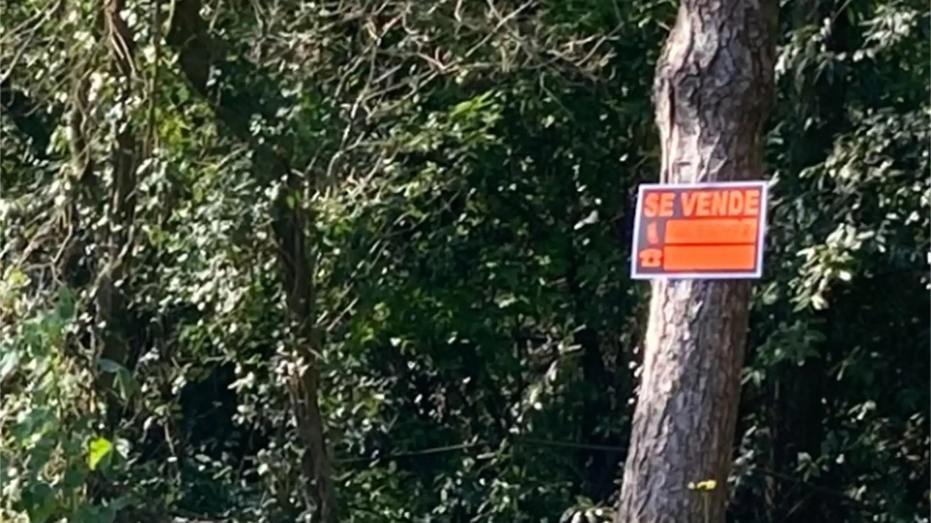 Vista exterior de Terreno en venta en O Rosal  