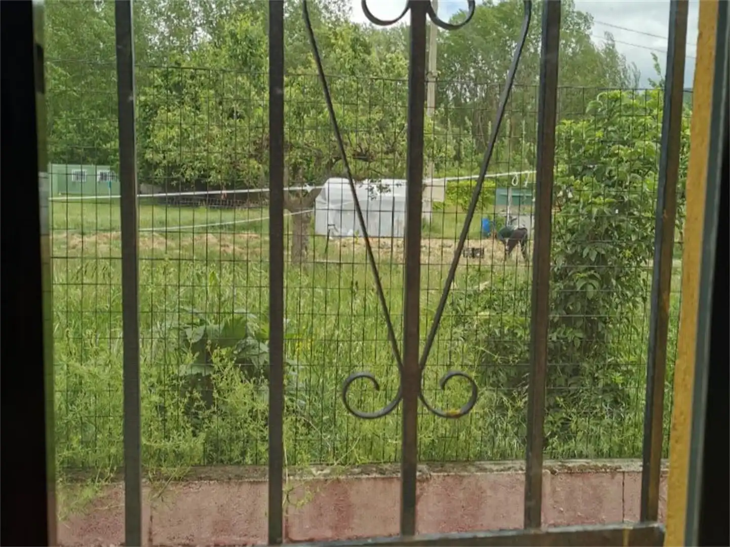 Finca rústica en venta en Camino de la Estación, Flores de Sil - La Placa Jardín de Finca rústica en venta en Ponferrada