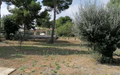 Finca rústica en alquiler en pinar del advocat - c