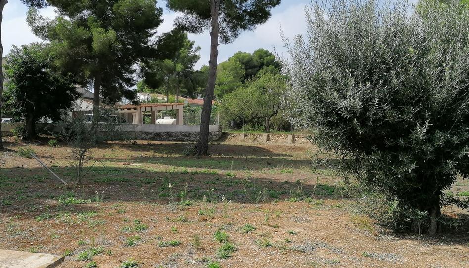 Finca rústica de alquiler en Calle Abeto, Pinar del Advocat - Cometa, Alicante - imagen 1 Foto 1 de Finca rústica de alquiler en Calle Abeto, Pinar del Advocat - Cometa, Alicante