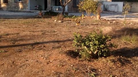 Finca rústica de alquiler en Calle Abeto, Pinar del Advocat - Cometa, Alicante - imagen 5 Foto 5 de Finca rústica de alquiler en Calle Abeto, Pinar del Advocat - Cometa, Alicante