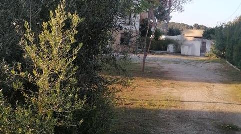 Finca rústica de alquiler en Calle Abeto, Pinar del Advocat - Cometa, Alicante - imagen 3 Foto 3 de Finca rústica de alquiler en Calle Abeto, Pinar del Advocat - Cometa, Alicante