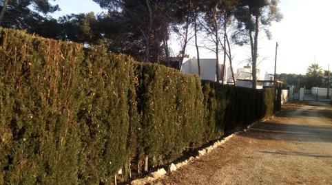 Finca rústica de alquiler en Calle Abeto, Pinar del Advocat - Cometa, Alicante - imagen 4 Foto 4 de Finca rústica de alquiler en Calle Abeto, Pinar del Advocat - Cometa, Alicante