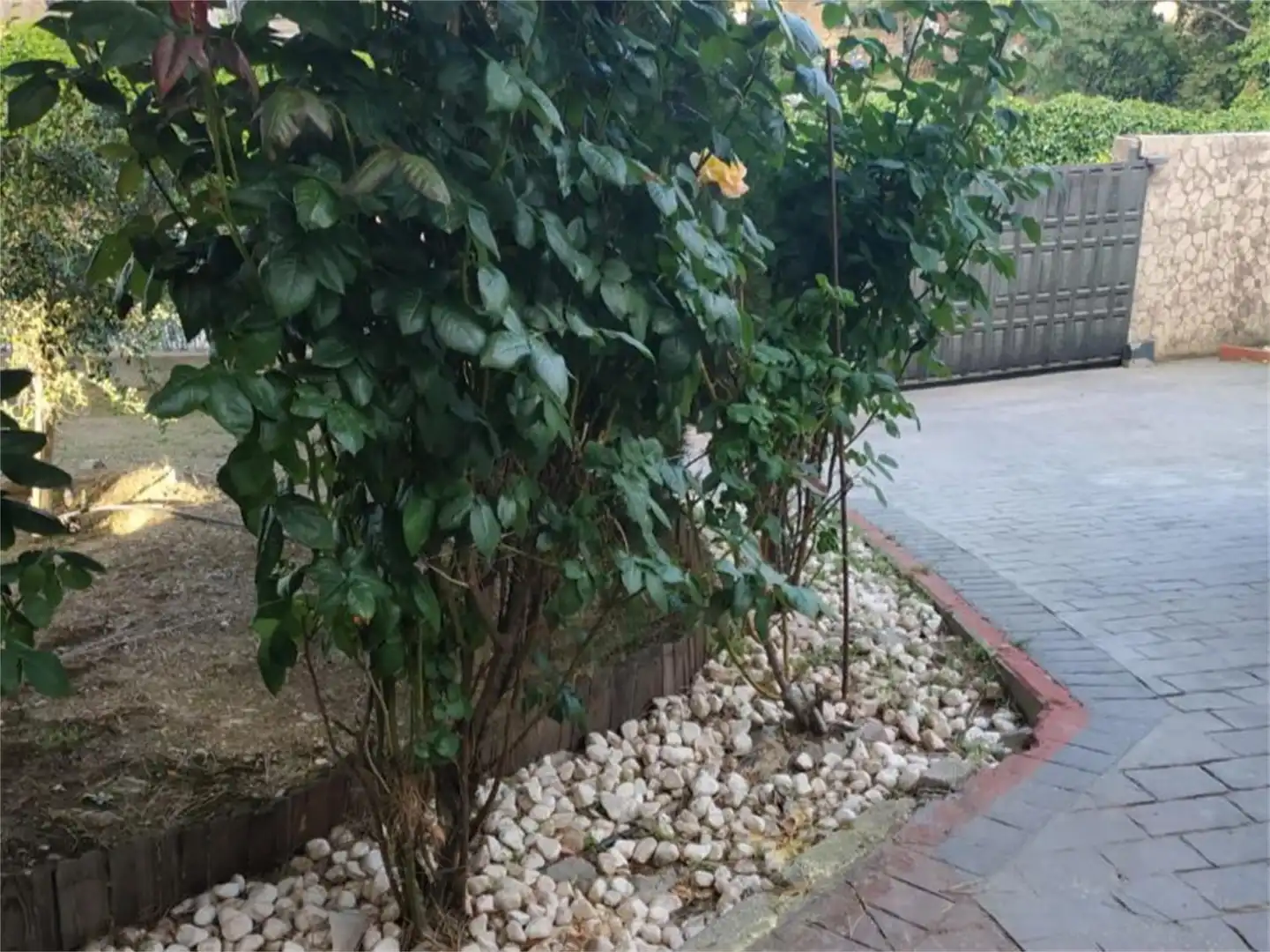 Casa o chalet en venta en Calle Chaparros, 6, Pino Alto - Navarredonda Jardín de Casa o chalet en venta en Valdemorillo con Aire acondicionado y Terraza