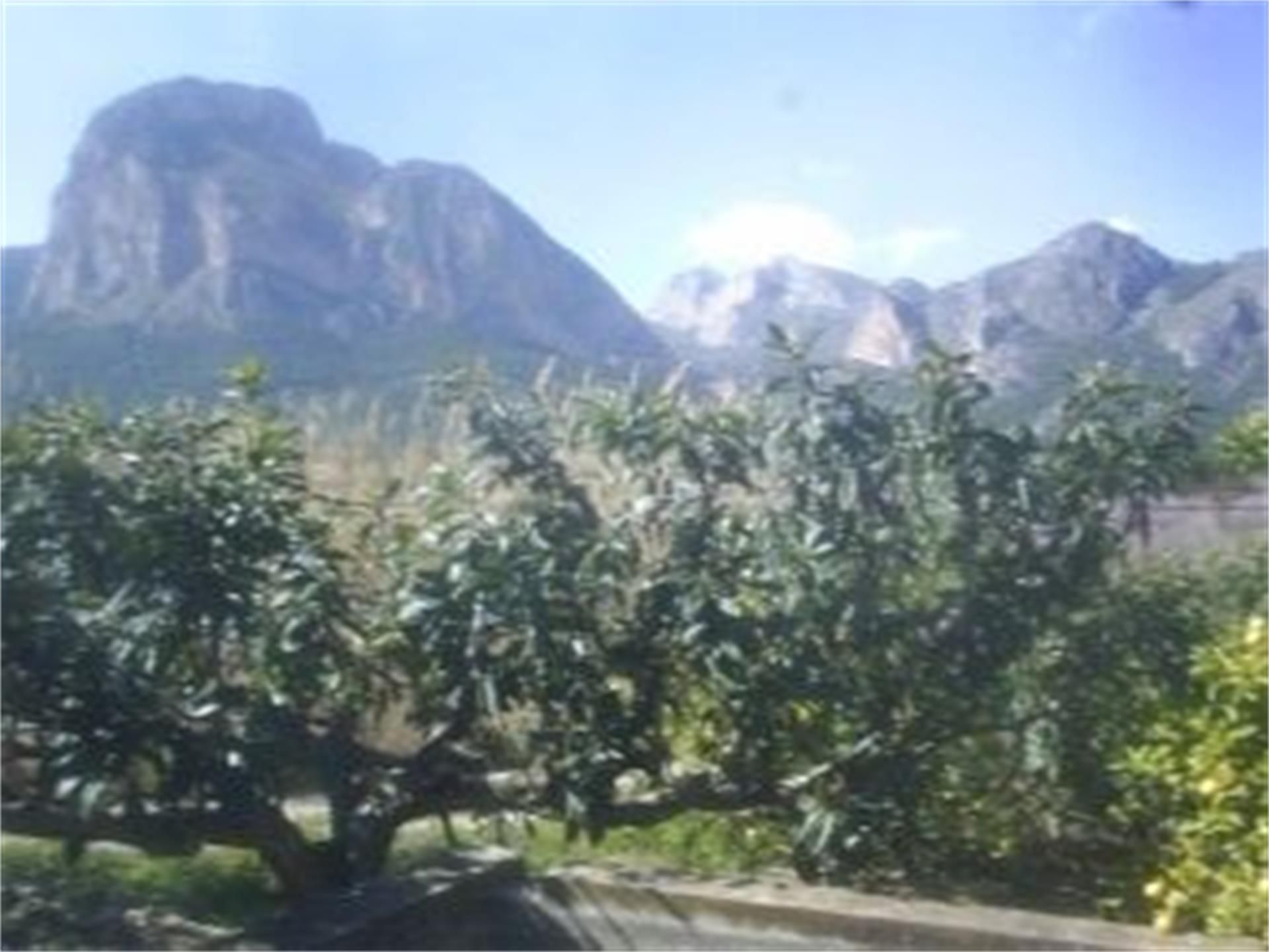 Jardí de Urbanitzable en venda en Polop