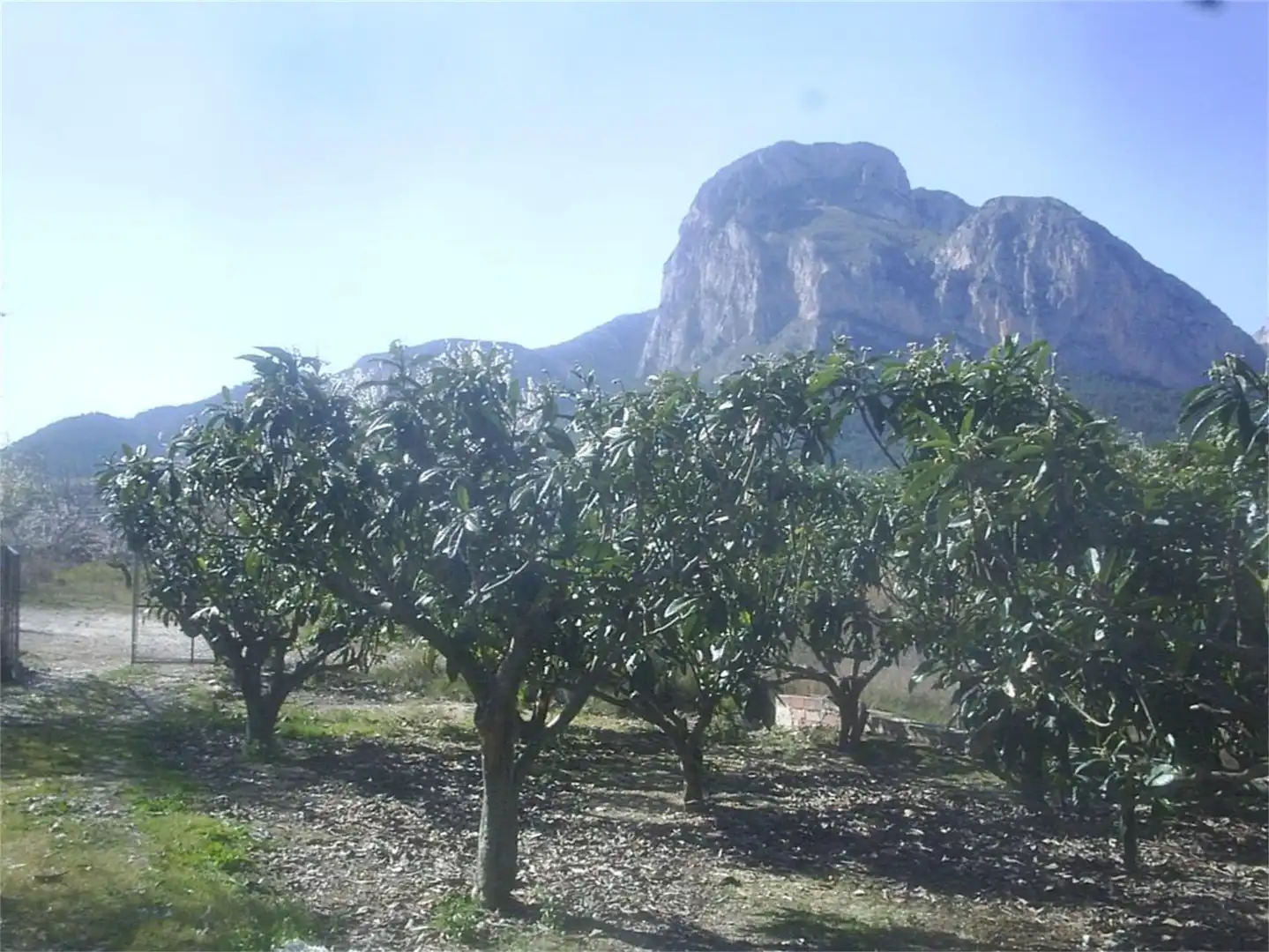 Jardín de Urbanizable en venta en Polop