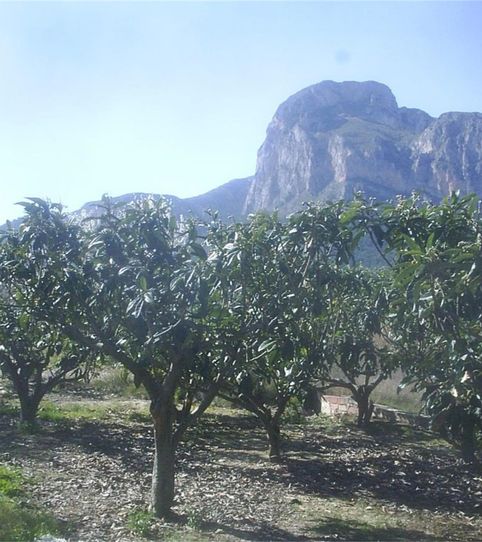 Foto 2 de Urbanizable en venta en Polígono Crehueta, Casco urbano, Polop