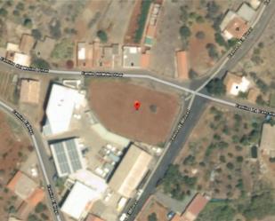 Constructible Land for sale in Puntagorda