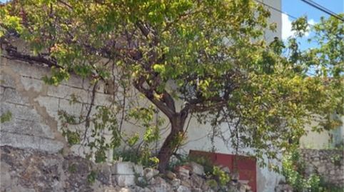 Foto 5 de Finca rústica en venta en Calle Boche, Yeste, Albacete