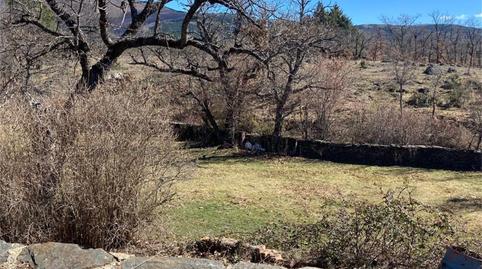 Single-family semi-detached for sale in Calle Chorrillo, 3, Campillo de Ranas, Guadalajara - image 5 Photo 5 of Single-family semi-detached for sale in Calle Chorrillo, 3, Campillo de Ranas, Guadalajara