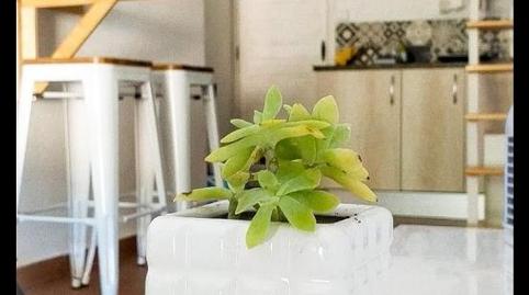 Photo 2 of Single-family semi-detached for sale in N-110, 102, Navaconcejo, Cáceres