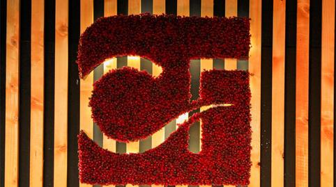 Foto 2 de Oficina de alquiler en Calle Boston, Los Cristianos, Arona