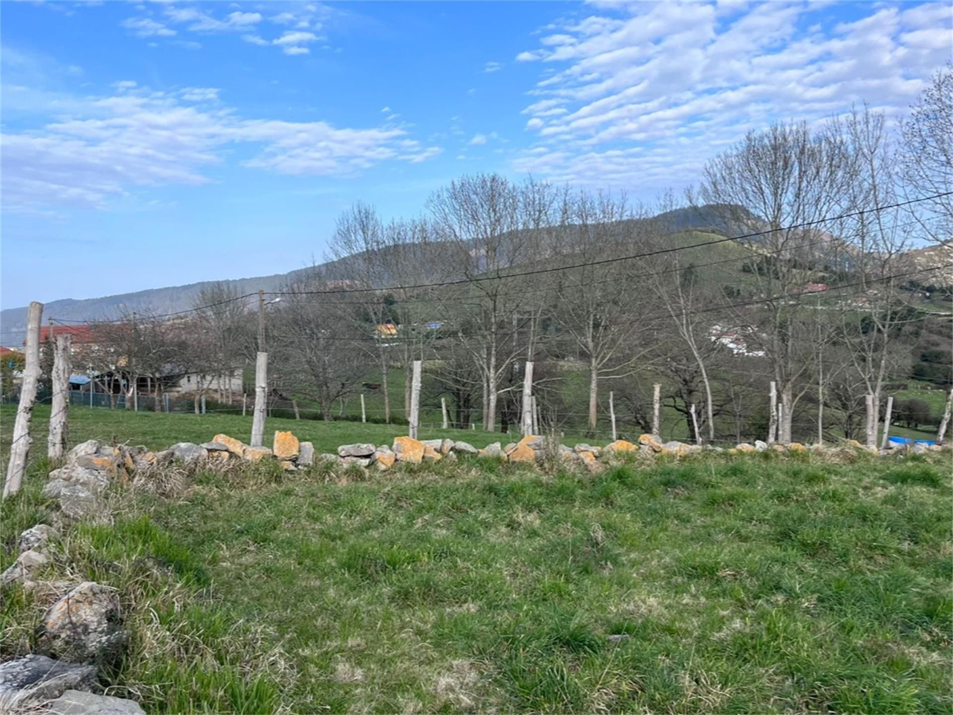 Non-constructible Land for sale in Siero