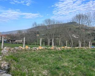 Non-constructible Land for sale in Siero