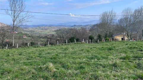 Non-constructible Land for sale in Parroquias Norte, Asturias - image 4 Photo 4 of Non-constructible Land for sale in Parroquias Norte, Asturias