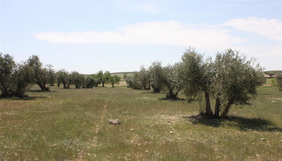 Foto 1 de No Urbanizable en venta en Cm-332, Casas de Juan Núñez, Albacete