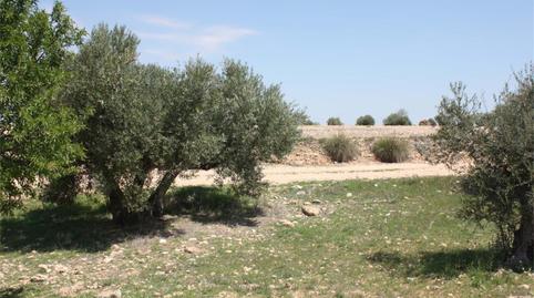 Foto 2 de No Urbanizable en venta en Cm-332, Casas de Juan Núñez, Albacete