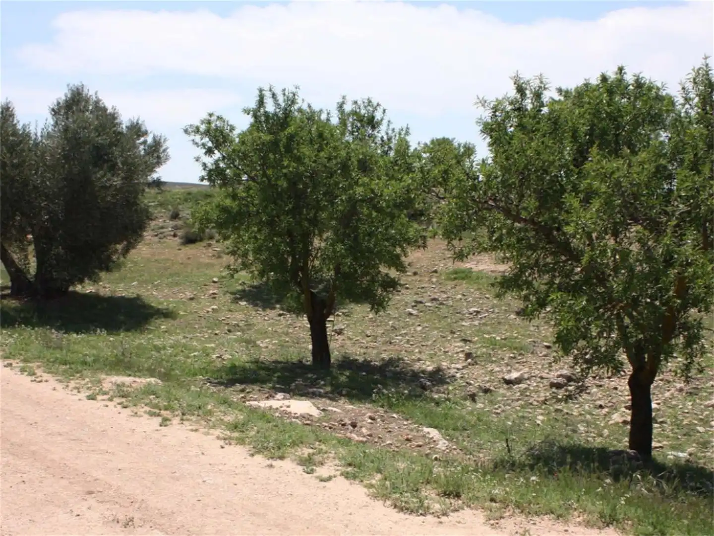 Nicht bebaubares Gelände zum Verkauf in Casas de Juan Núñez