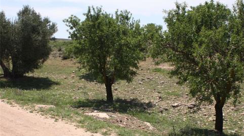 Foto 3 de No Urbanizable en venta en Cm-332, Casas de Juan Núñez, Albacete