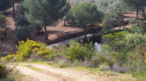 Foto 4 von Country house zum Verkauf in Calle Doctores Escobar y Monrreales, Villaviciosa de Córdoba, Córdoba