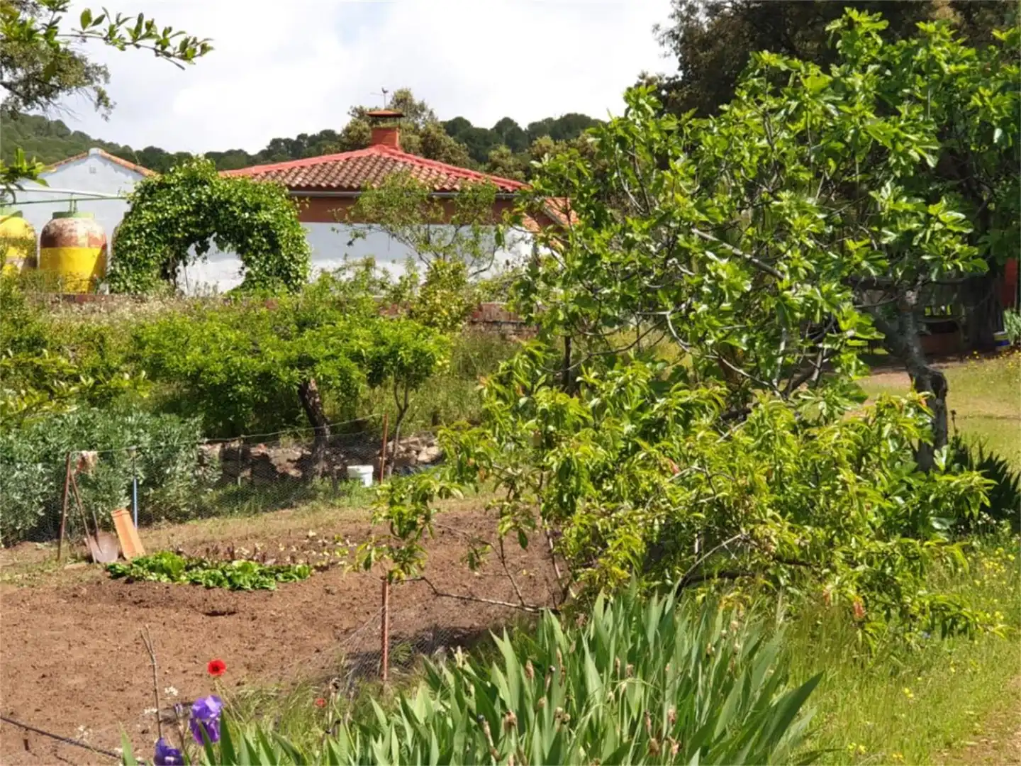 Country house zum Verkauf in Calle Doctores Escobar y Monrreales, Villaviciosa de Córdoba Garten von Country house zum Verkauf in Villaviciosa de Córdoba