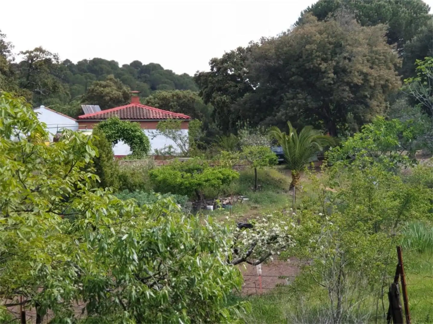 Country house zum Verkauf in Calle Doctores Escobar y Monrreales, Villaviciosa de Córdoba Country house zum Verkauf in Villaviciosa de Córdoba