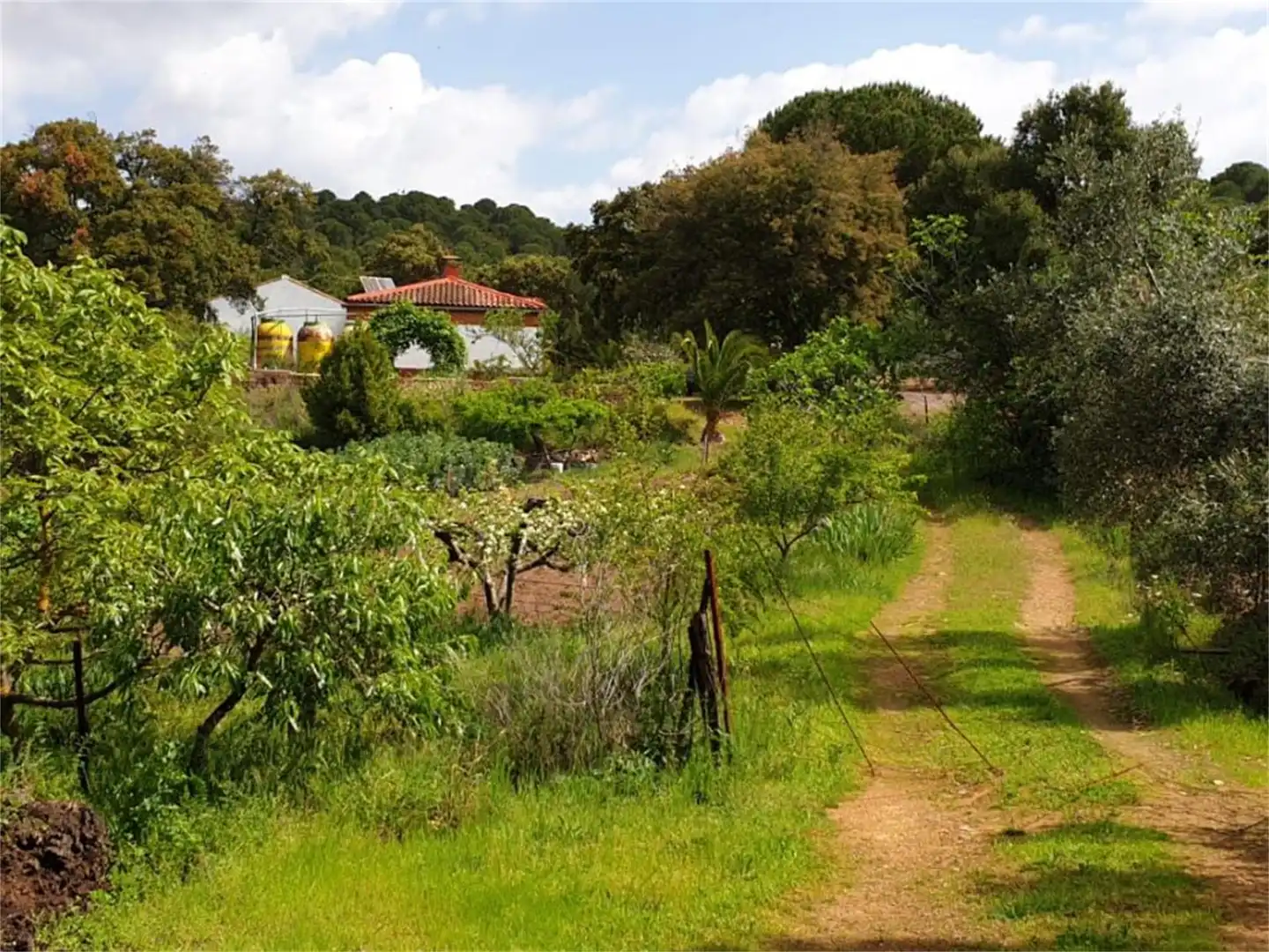 Country house zum Verkauf in Calle Doctores Escobar y Monrreales, Villaviciosa de Córdoba Garten von Country house zum Verkauf in Villaviciosa de Córdoba