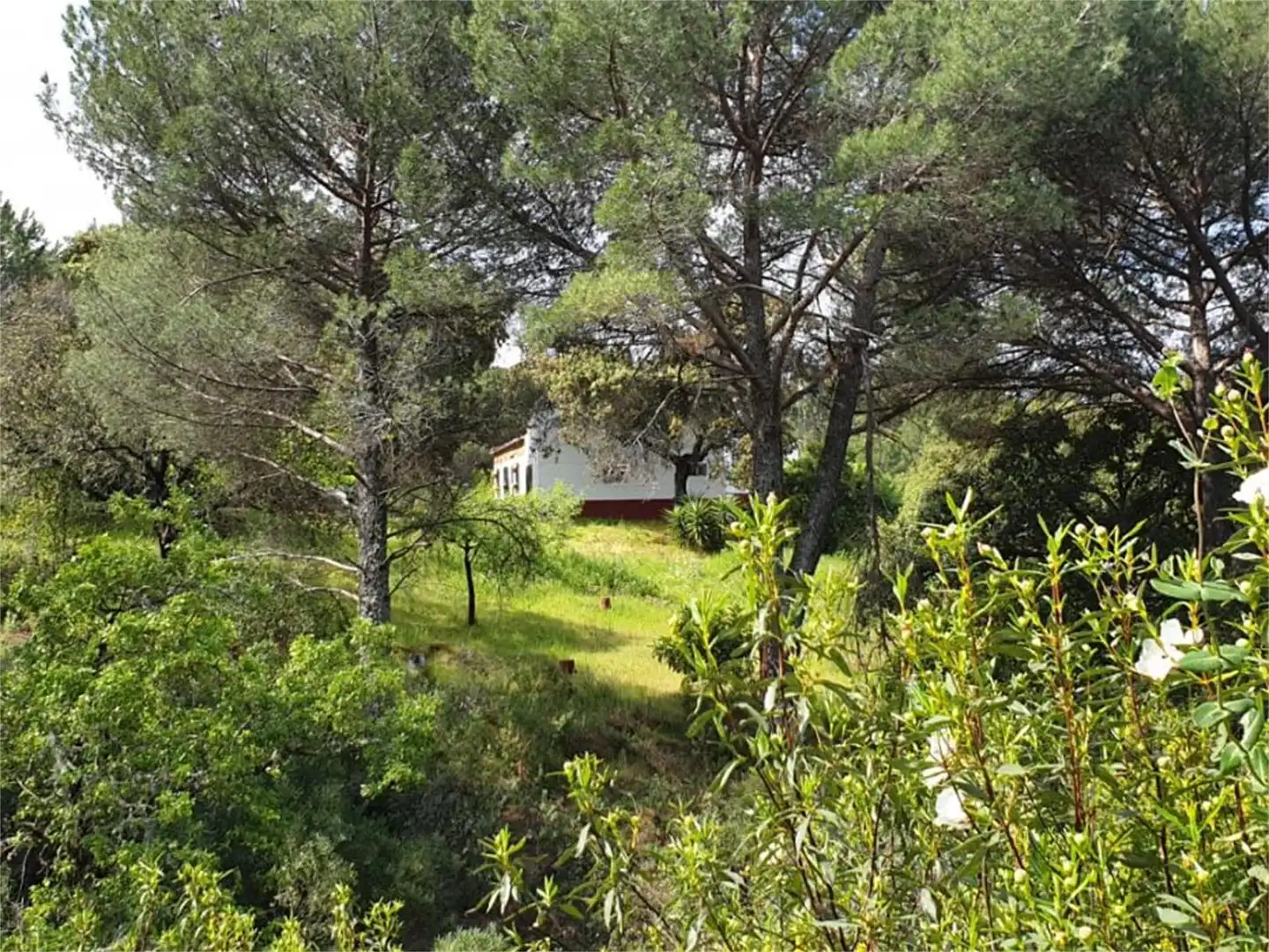 Country house zum Verkauf in Calle Doctores Escobar y Monrreales, Villaviciosa de Córdoba Country house zum Verkauf in Villaviciosa de Córdoba