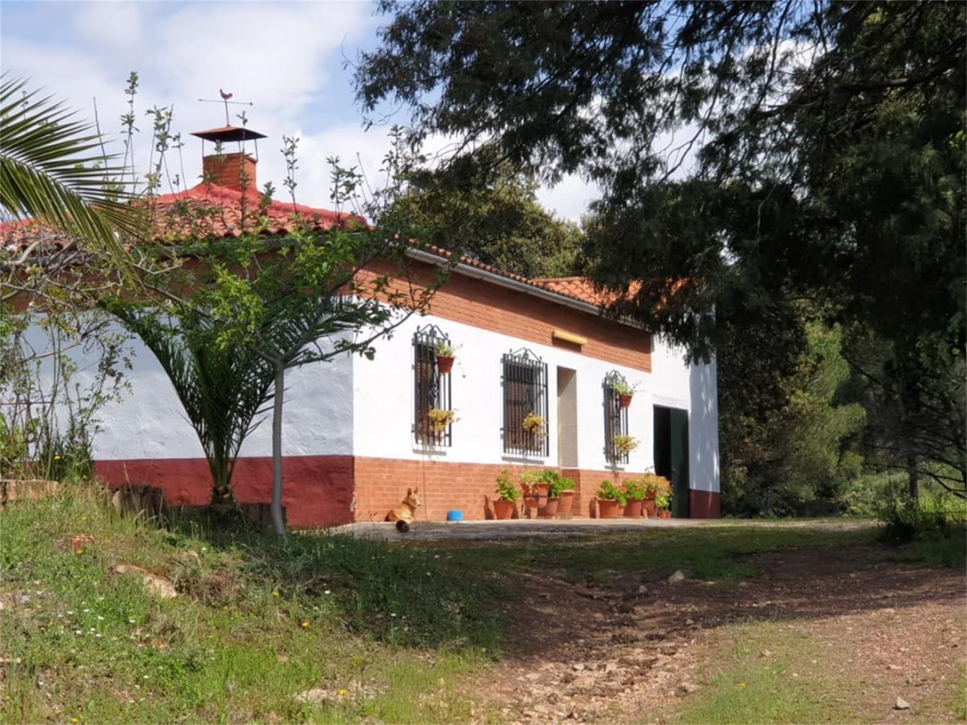 Country house for sale in Calle Doctores Escobar y Monrreales, Villaviciosa de Córdoba Exterior view of Country house for sale in Villaviciosa de Córdoba