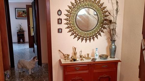 Single-family semi-detached for sale in Calle del Letrado Ferrer Estelles, Altura, Castellón - image 3 Photo 3 of Single-family semi-detached for sale in Calle del Letrado Ferrer Estelles, Altura, Castellón