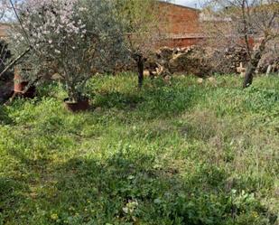 Finca rústica en venda en Brazatortas