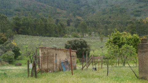 Country house for sale in La Rabaza, La Codosera, Badajoz - image 4 Photo 4 of Country house for sale in La Rabaza, La Codosera, Badajoz