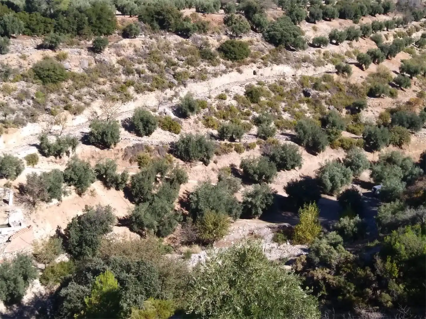 Terreno en venta en Carretera de Mancha Real, Pegalajar Terreno en venta en Pegalajar