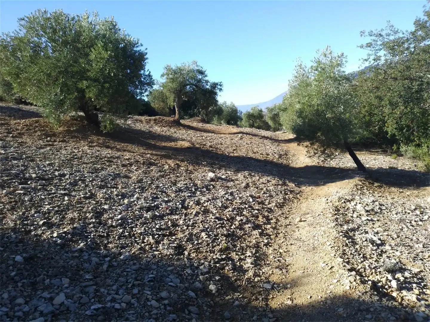 Terreno en venta en Carretera de Mancha Real, Pegalajar Terreno en venta en Pegalajar