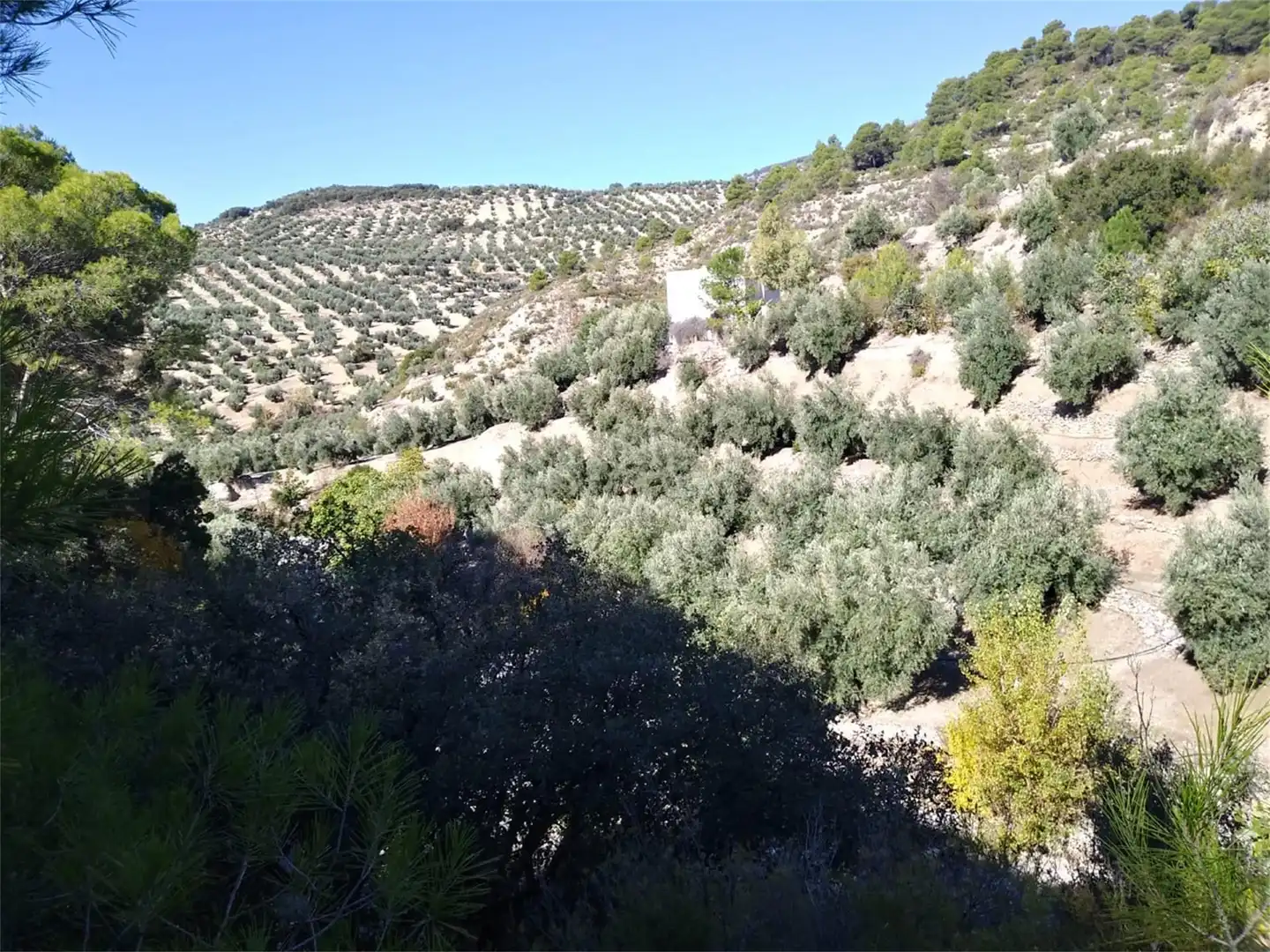 Terreno en venta en Carretera de Mancha Real, Pegalajar Terreno en venta en Pegalajar